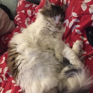 Meet your Posher, Cassie